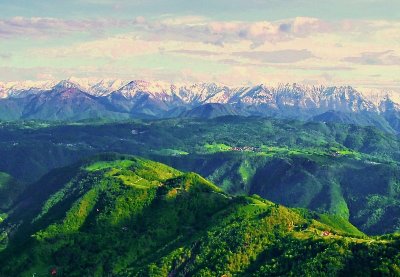 Apartma Alpski Vrt Vojsko ภายนอก รูปภาพ