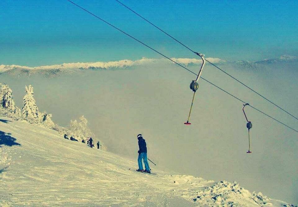Apartma Alpski Vrt Vojsko ภายนอก รูปภาพ